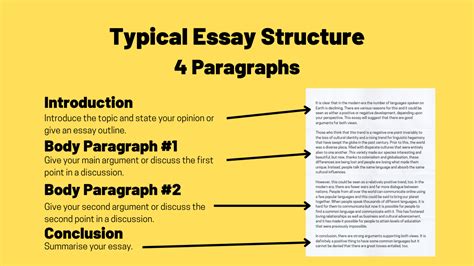 how many paragraphs in a argumentative essay does one typically use?